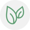 樱桃视频影视视频正式版